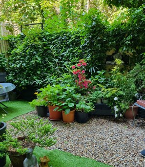 Property grounds - Lovely Spacious One Bedroom Garden Flat near Westfield Shopping Center (London)