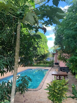 Outdoor pool - Hungwe House 4-bedrooms in amazing Victoria Falls with WiFi, AC, Pvt Pool&Garden (Victoria Falls)