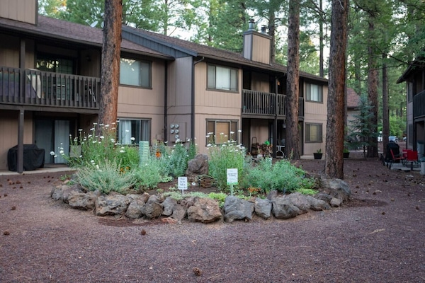 Beautiful trees and well-maintained landscaping adds to the beauty of the area