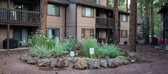 Sports Village / 1 BR 1 BA / Studio / Kitchenette