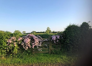 Cottage | View from property - Beautiful Cottage in Rural Escape, No Deposit (Ashbourne)
