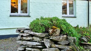 A stone wall with greenery in front of a house with a light green exterior and white windows. - Studio in Boscastle Near Tintagel Castle (Boscastle)