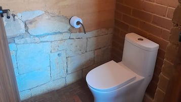 Shower, towels, toilet paper