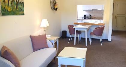 Charming hotel in enchanting Spitz with WiFi