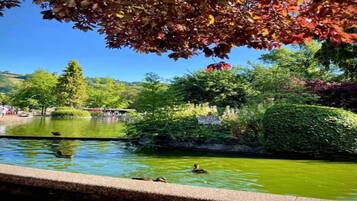 Apartment | View from property