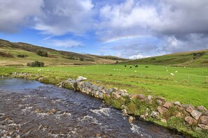 House | Exterior - Log Cabin in Snowdonia Near Rhinog Mountains (Blaenau Ffestiniog)