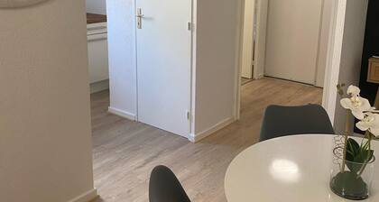 Cosy apartment Strasbourg, Gare, Zénith.
