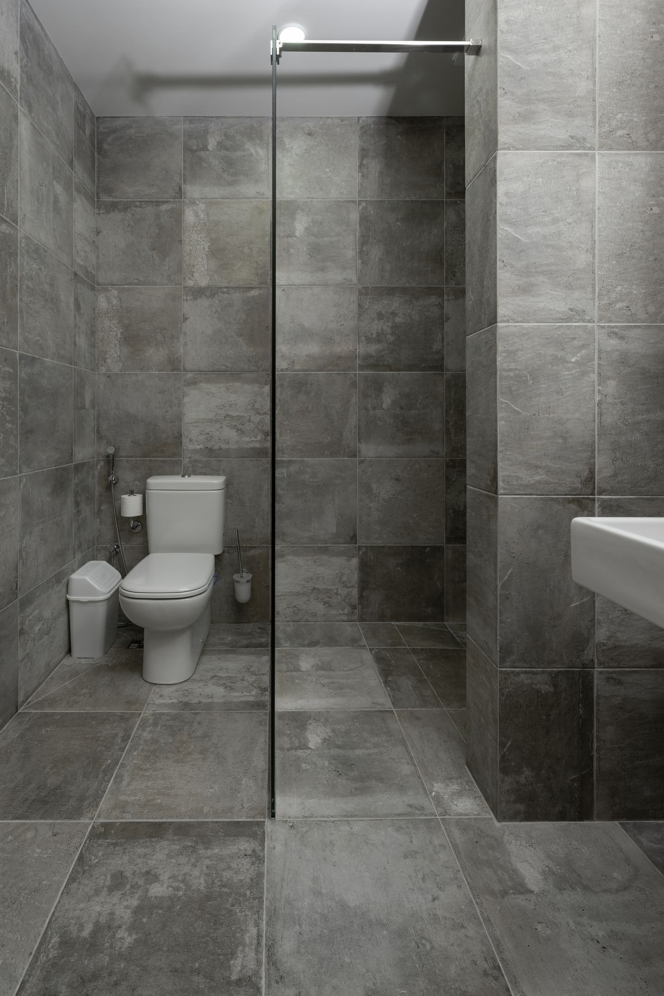 A modern bathroom with a glass shower enclosure, a toilet, a trash bin, and a sink.