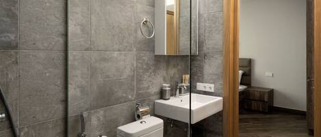 A modern bathroom with a glass shower enclosure, a toilet, a sink, and a mirror.