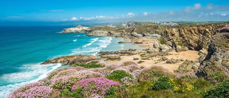 House | View from property