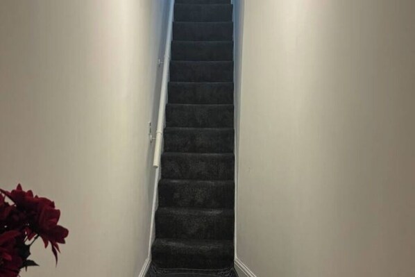 A narrow, carpeted stairway leading to an upper floor.