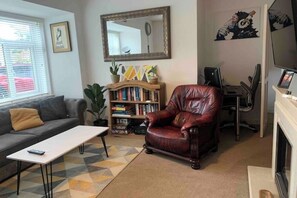 智能电视、壁炉