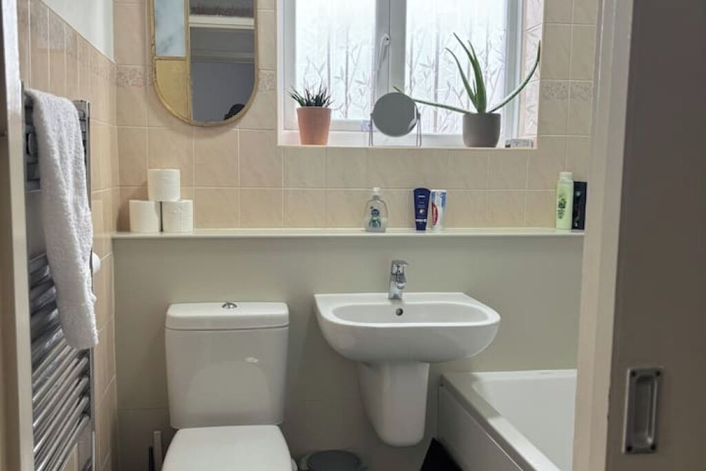 Hair dryer, towels, soap, toilet paper