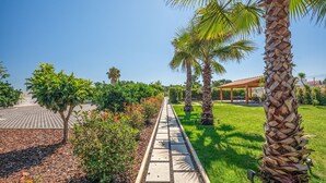 A pathway lined with palm trees and shrubs, leading to a covered outdoor area with tables and chairs.