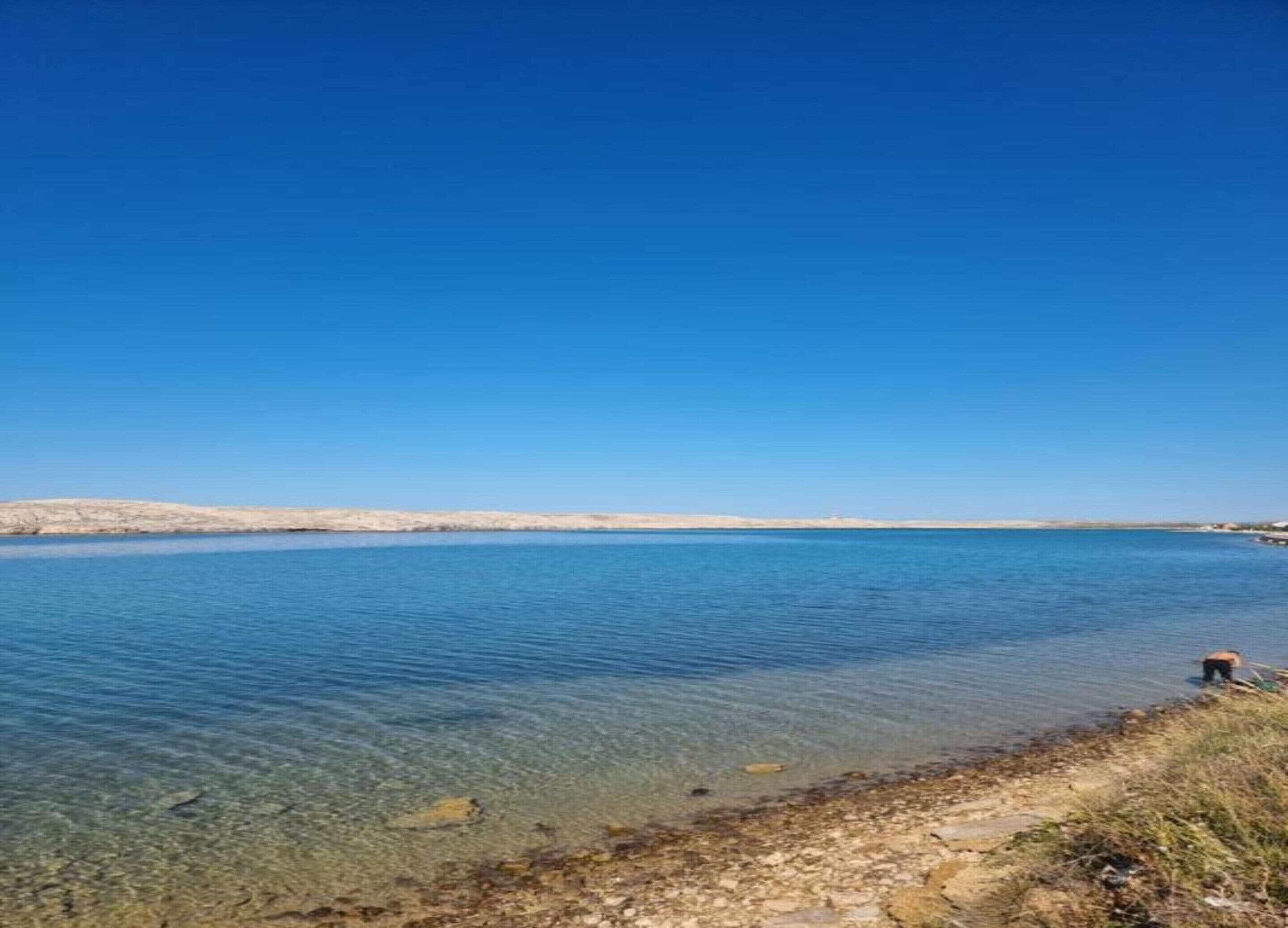 الإطلالة من المنشأة