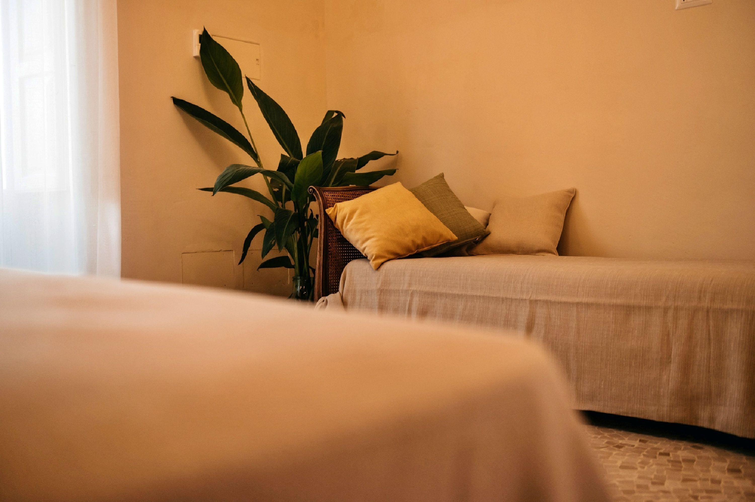 A room with two beds, a potted plant, and a wall socket.