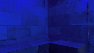 Sauna, hot tub, steam room, Turkish bath/hammam