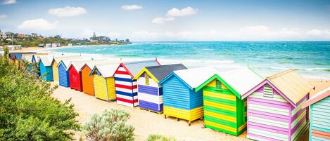 獨棟房屋 | 外觀