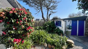 A garden with a variety of plants and a stone wall. - Ty Camelia-Draps included-4p-Wifi-Enclosed garden (QUIBERON)