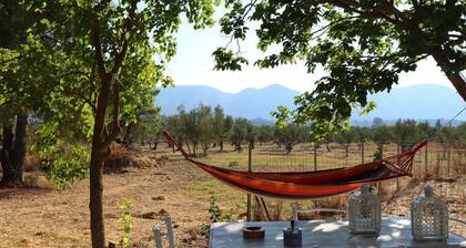 Aura House - Serene and breezy home under pines