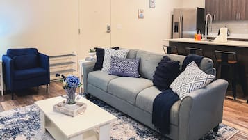 Smart TV, lareira, livros