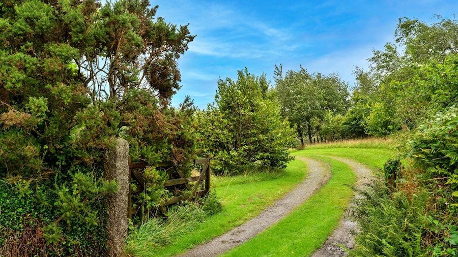 Studio in Cornwall Near Tintagel Castle