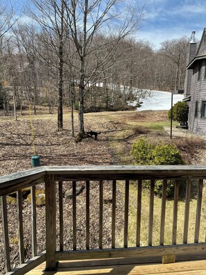 Área da propriedade