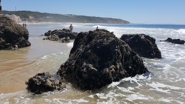 Une plage rocheuse où les vagues se brisent sur le rivage.