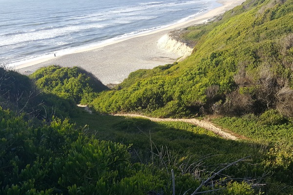 Strand
