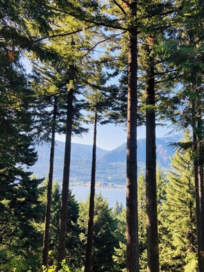 Tall trees in a forest with a lake and mountains in the background. - Sauna, River Views, 4BR Homestead Retreat (Stevenson)