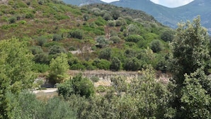 A mountainous landscape with dense vegetation and a clear sky. - Villa 8 persons with private pool (Saint-Florent)