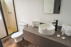 Ducha, toallas, jabĂłn, shampoo