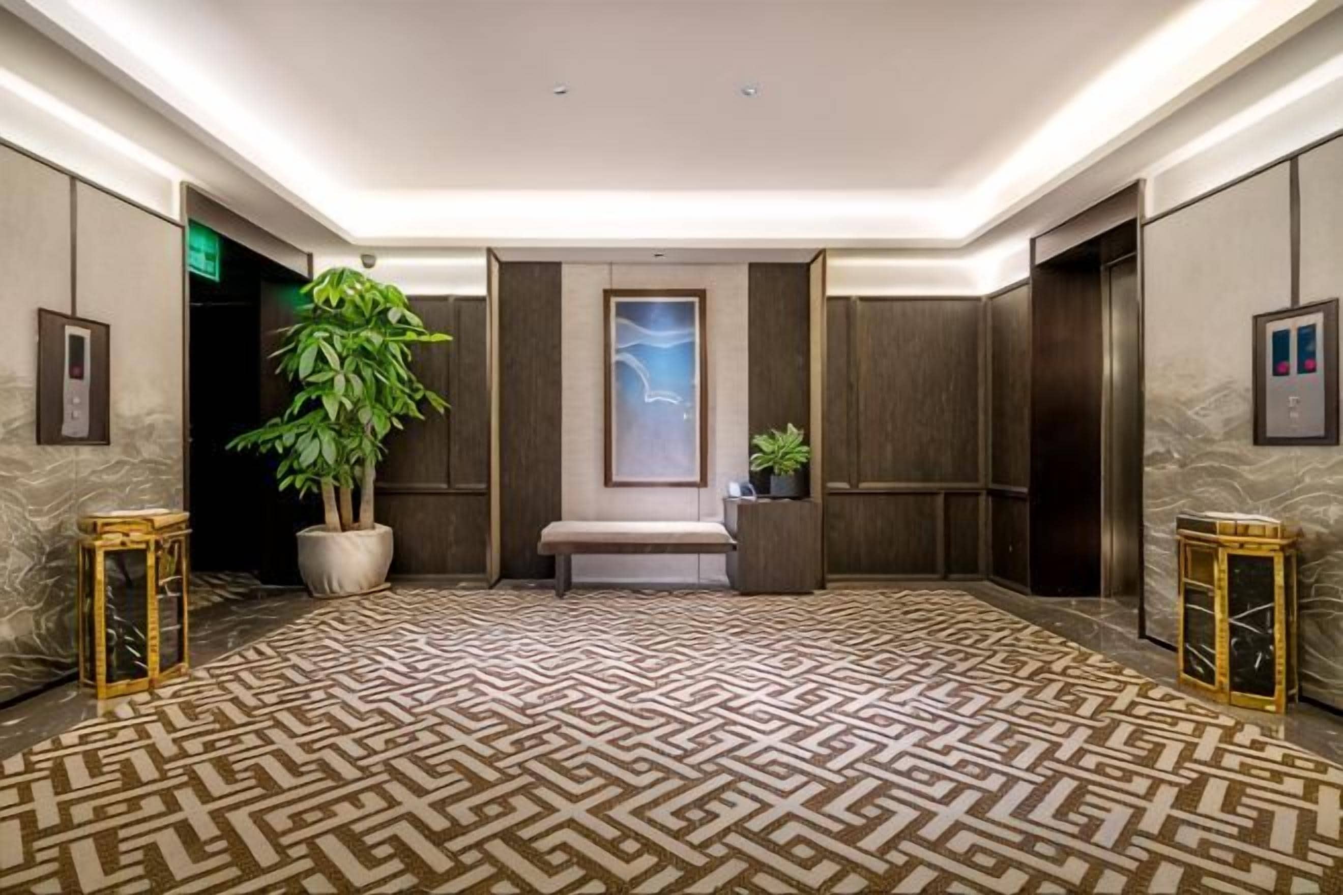 Et hotel lobby med et mønstret tæppe, en stor stueplante, en bænk og indrammede kunstværker på væggene.