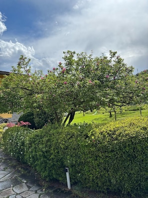 Boendeområde