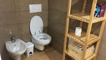 Shower, hair dryer, bidet, towels