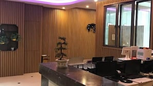 A reception desk with a computer, a potted plant, and a wall-mounted decorative item. - Jinlu Business Hotel (Shanghai)