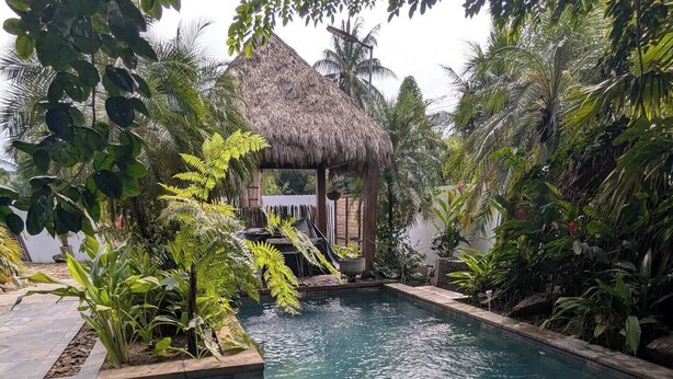 Una terraza de madera que conduce a una piscina rectangular rodeada de exuberante vegetación tropical y una estructura con techo de paja.