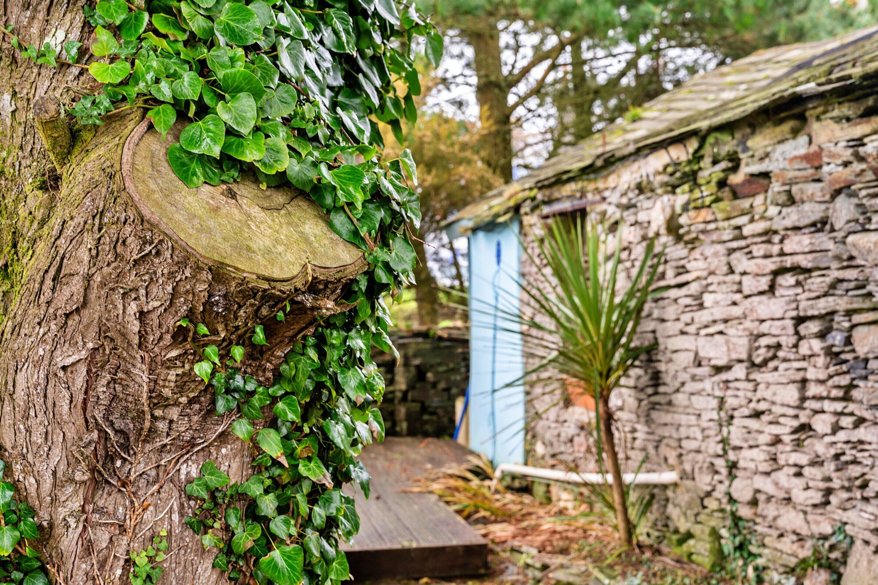 Cottage | Interior detail