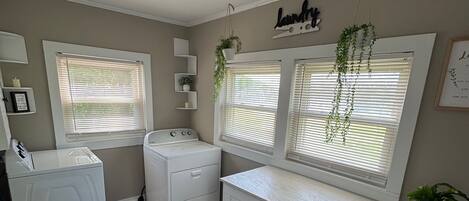 A laundry room with a washing machine, dryer, and a cabinet with a hanging plant.