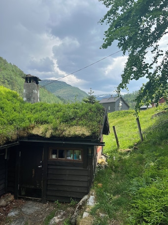 Exterior. Tradisjonell norsk hytte i Rasdalen
