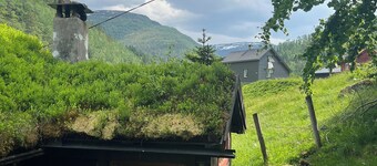 Tradisjonell norsk hytte i Rasdalen
