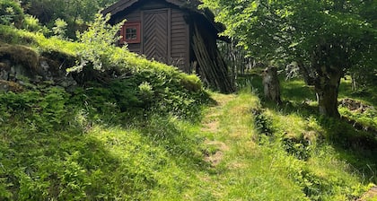 Tradisjonell norsk hytte i Rasdalen