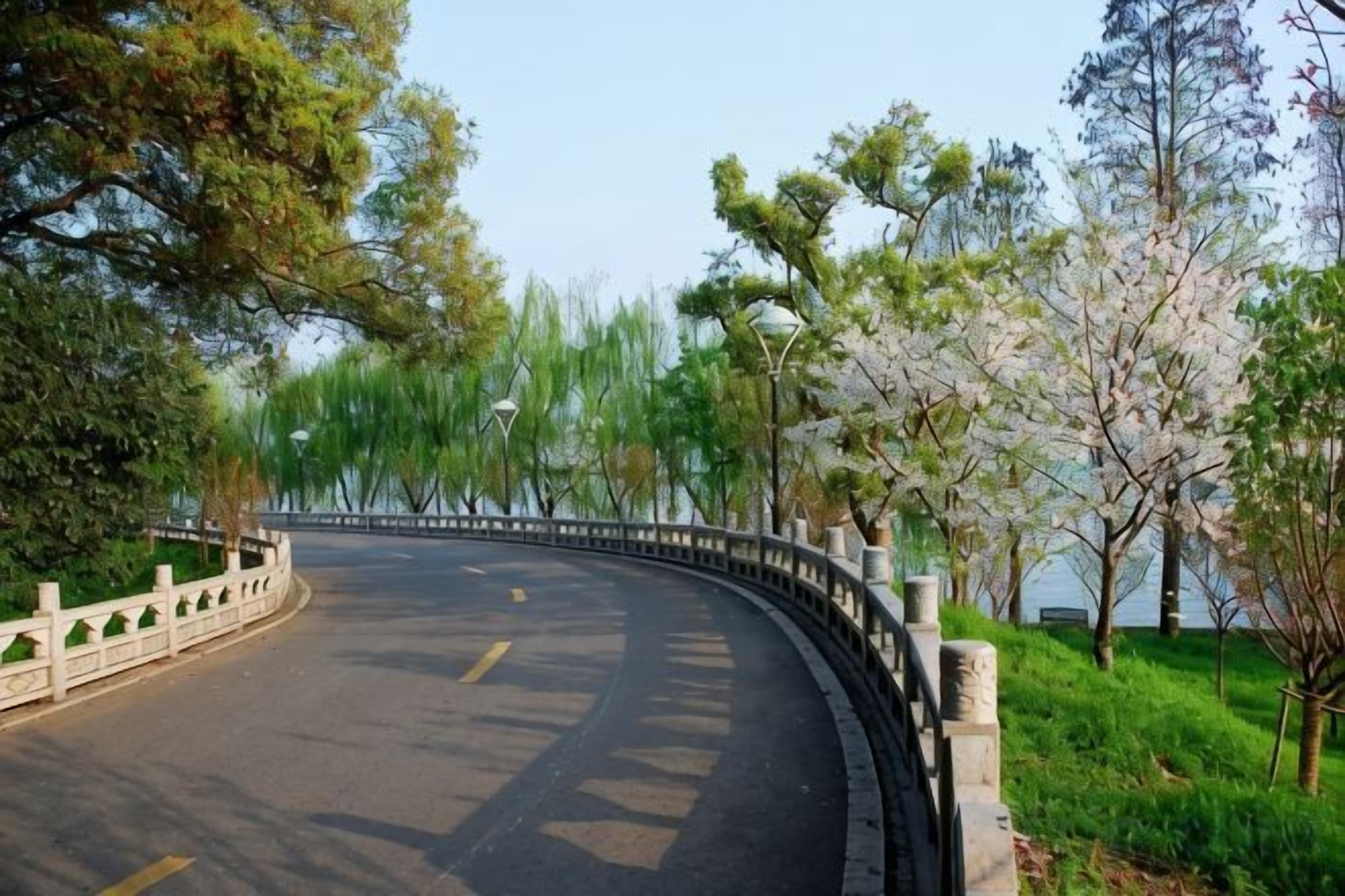 A curved road with a white railing, surrounded by trees and greenery.