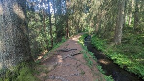 Miscellaneous - Time to recover! Cozy vacation apartment in the green Harz Mountains! (Wildemann)