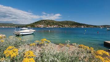 Departamento | Vista desde la propiedad