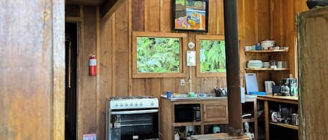 Four, plaque de cuisson