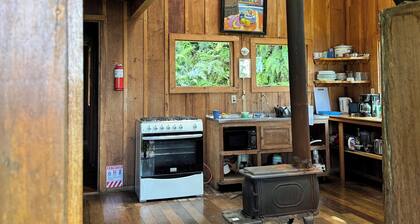 Cloud forest paradise, Monteverde Costa Rica