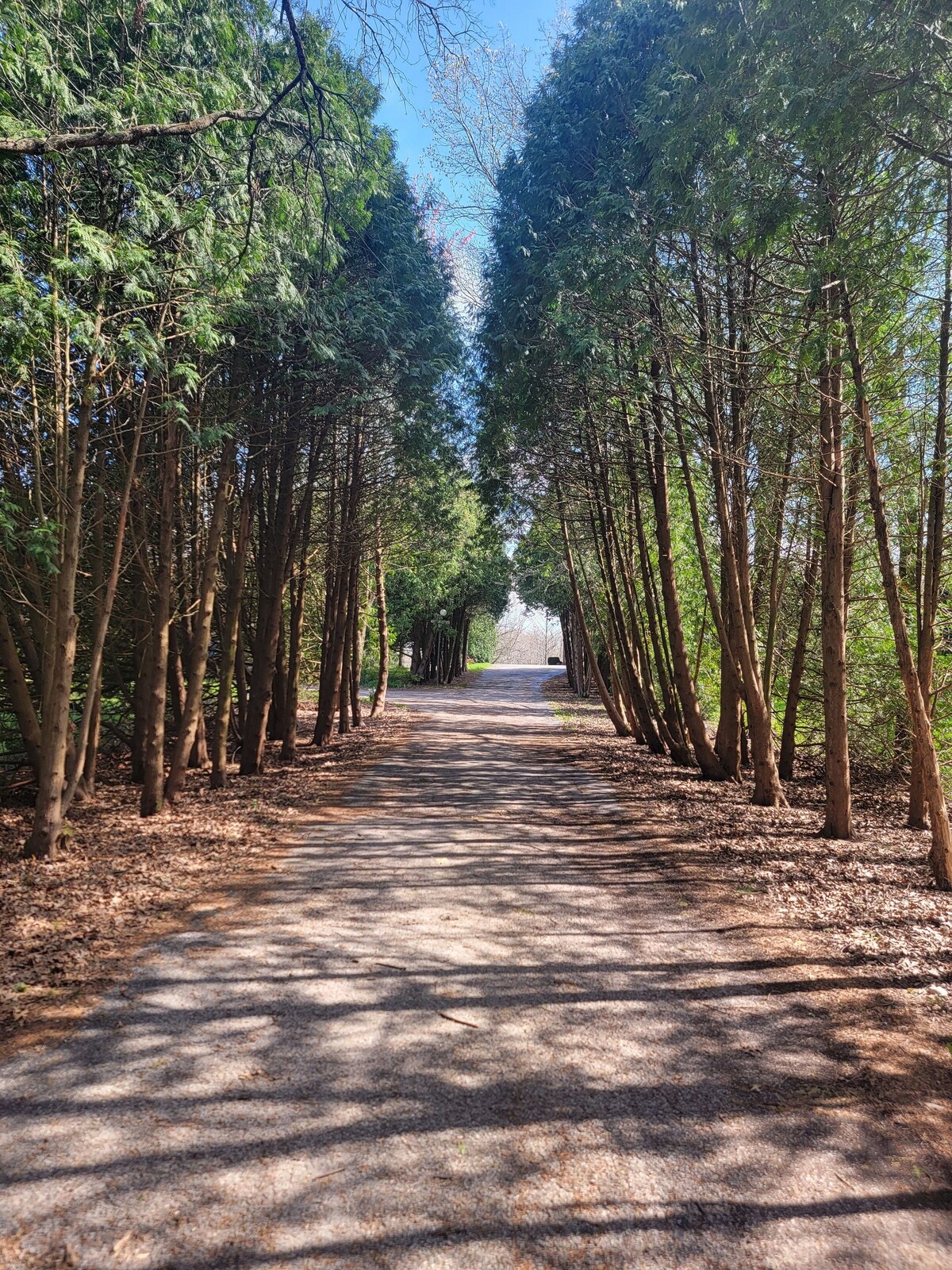 Imagen de perfil del propietario o de la propietaria