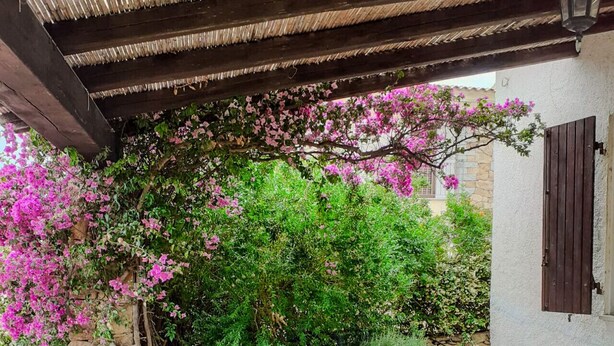 A stone-paved patio with wicker chairs and a table, surrounded by lush greenery and pink flowers. - Villa da Anna e Turi - 5 minutes from the beach (San Gavino ( frazione di Budoni))