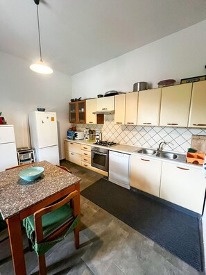 Fridge, oven, stovetop, dishwasher